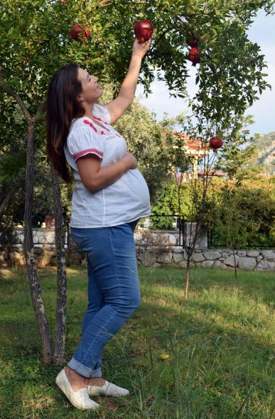 Сады Ичмелера